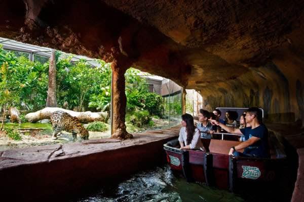 Jungle Cruise