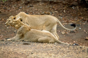 R4aba4fpnincdjinhgxlnzzbufl5 1591782362 shutterstock 1598526763