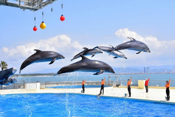 Marine World Uminonakamichi