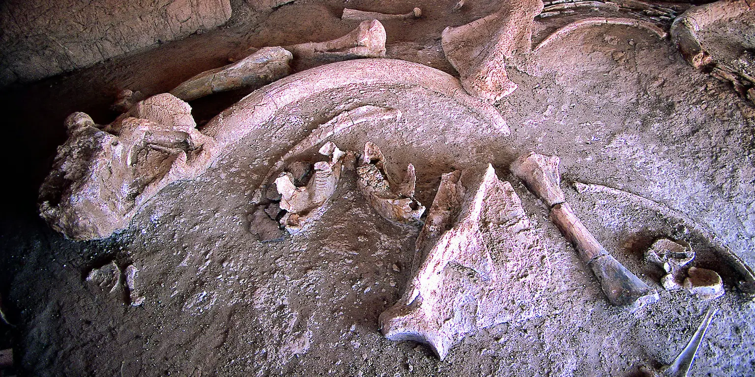Kariandusi Museum