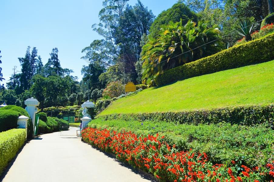 Full Day Nuwara Eliya Sightseeing Tour Image