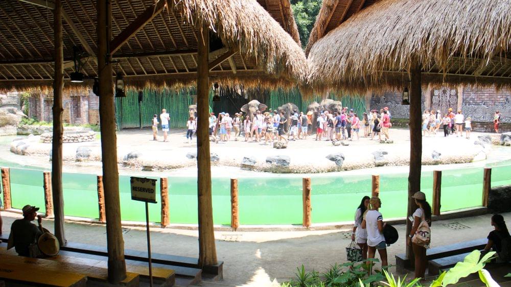Uma Restaurant in Bali Safari and Marine Park