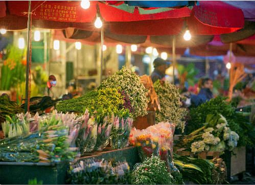 Quang Ba Flower Market Overview