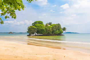 R5d5lmqsin72ki6elfgy3tb7eejw 1562217947 shutterstock 689333971