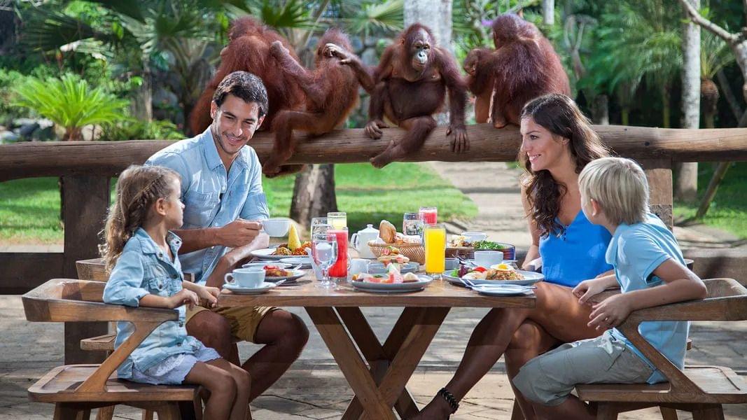 Breakfast with the Orangutans