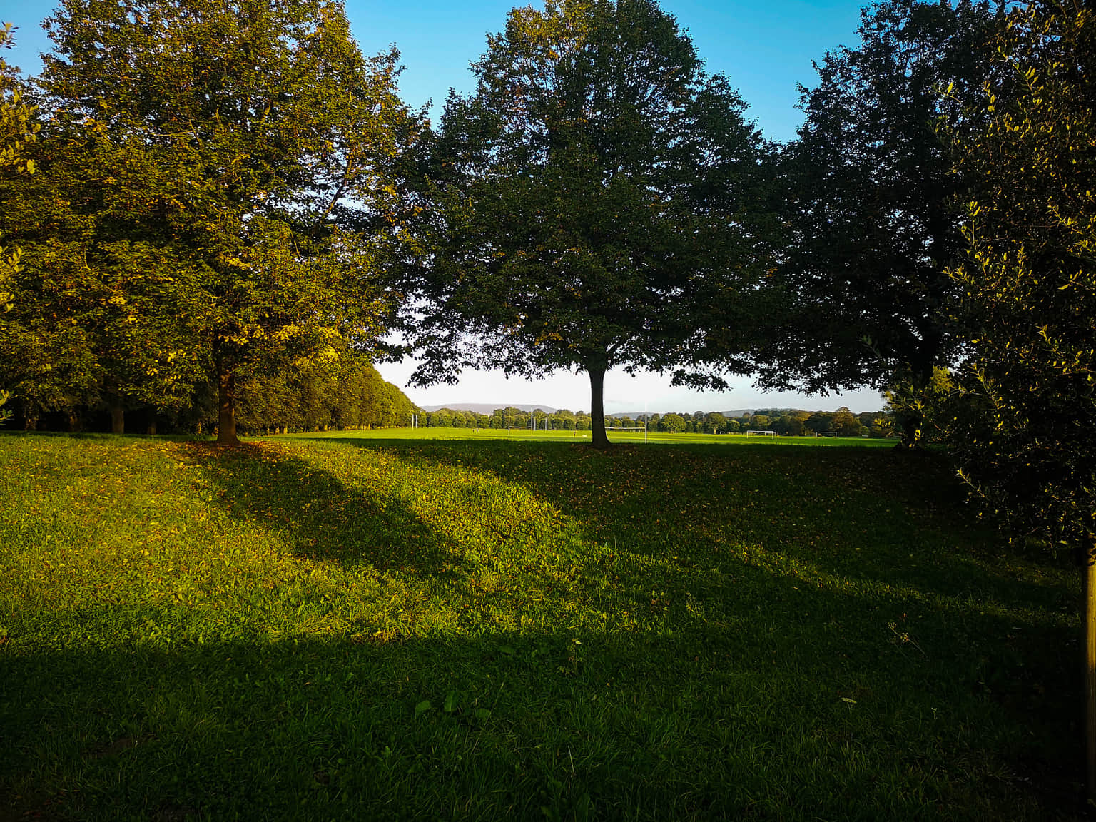 Bute Park, <em>Wales</em>