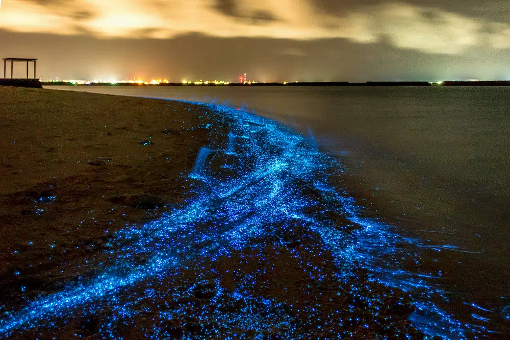 Maldives Glowing Beach