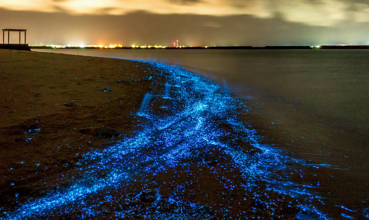 Maldives Glowing Beach