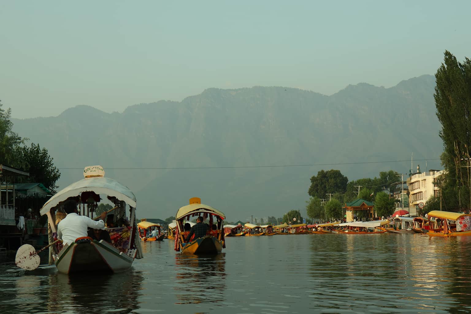 Photo from Vineeth Sheregar's trip