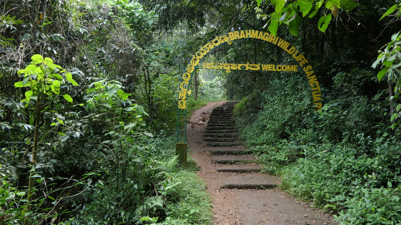 Explore Brahmagiri Wildlife Sanctuary