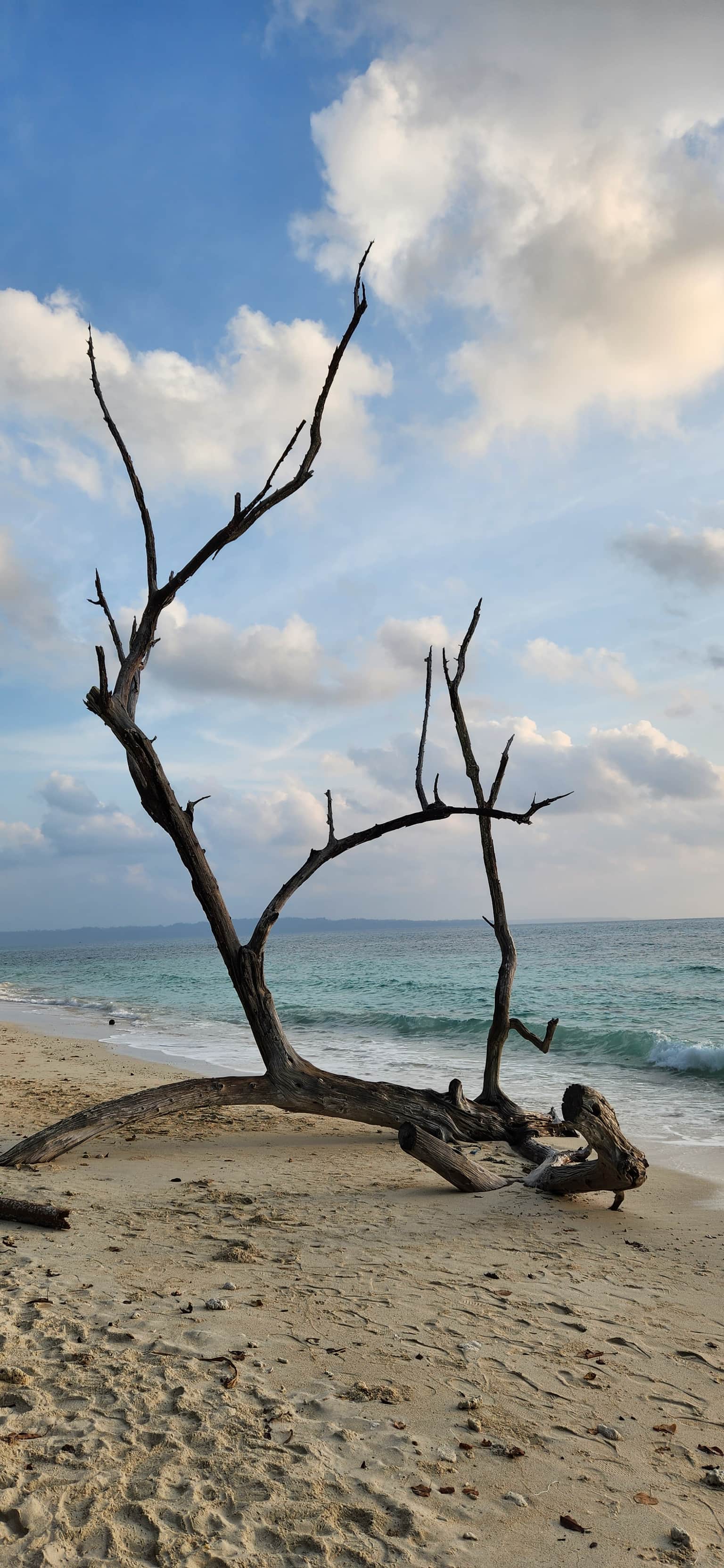 Photo from S. Mugilvanan's trip