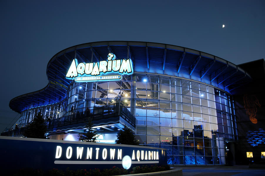 Visit the Downtown Aquarium Denver 