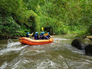 R6zj2uxfqvyrp3xw3lmlqx11nt8e shutterstock 2214250045