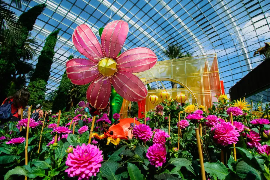 Flower Dome Tickets Image