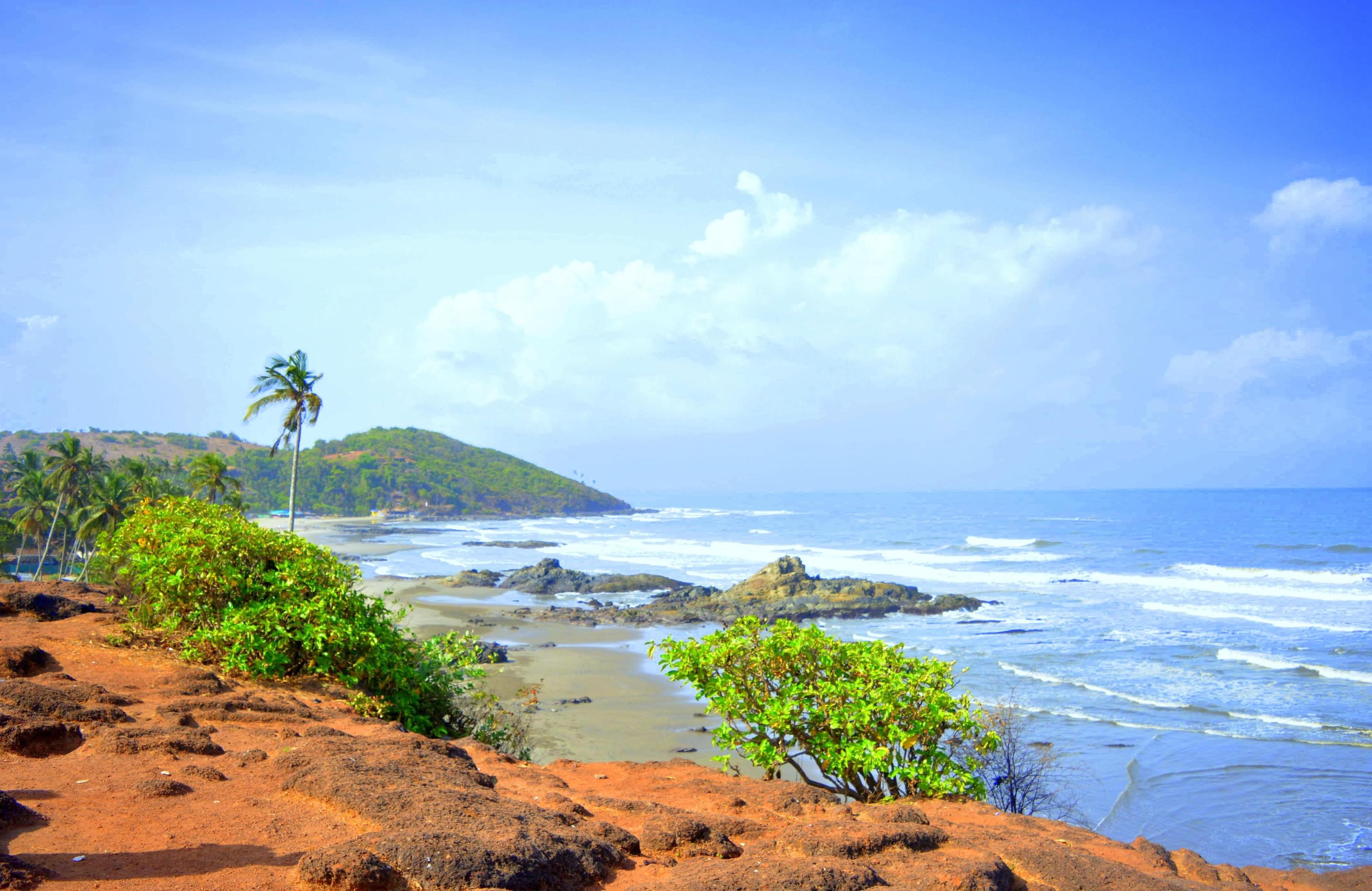 Chapora Beach Overview