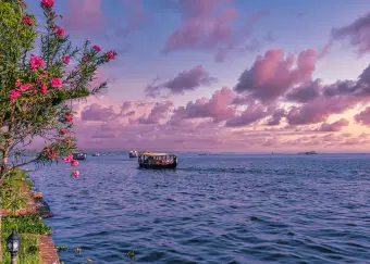 Boat sailing at Marin Drive in Kochi