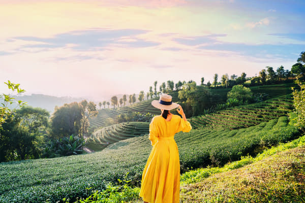 Girl at the Munnar Tea Estate