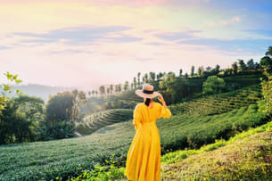 Girl at the Munnar Tea Estate