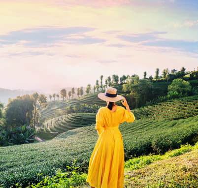 Girl at the Munnar Tea Estate