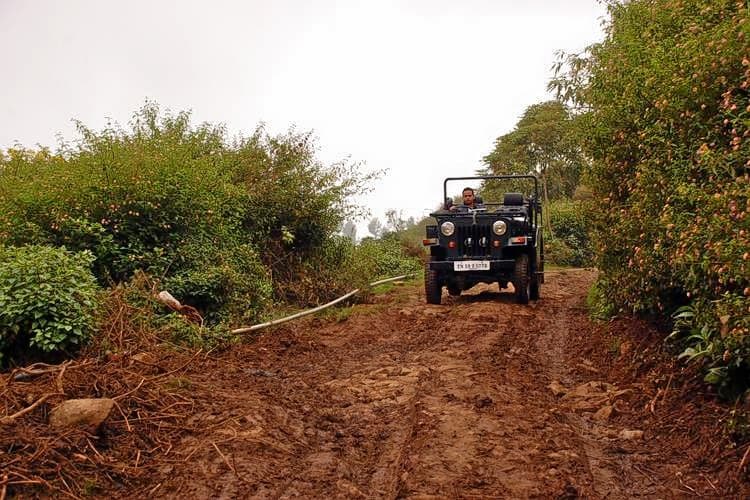 Backpacking Tour To Bellikkal Estate Hullathy Village Image