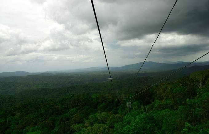 Skyrail Rainforest Cableway