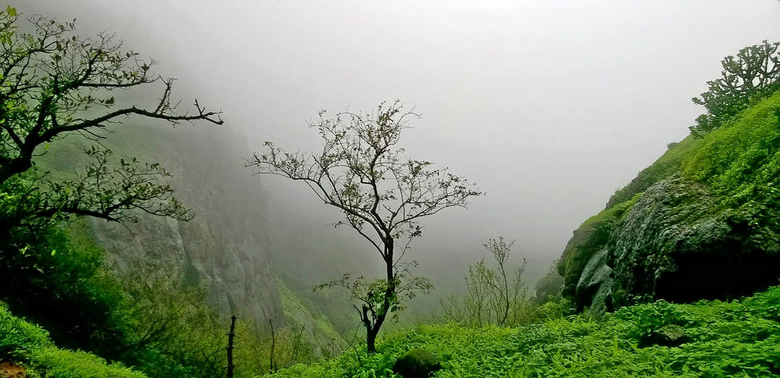 Prabalgad Fort