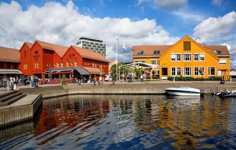 Activity & SightSeeing Image
