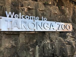 Taronga Zoo, Sydney