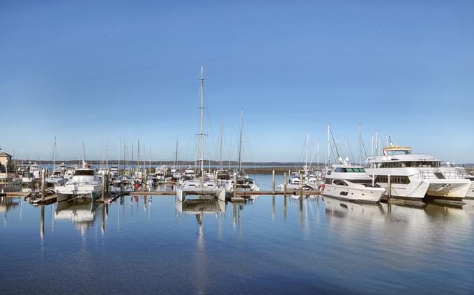 Hervey Bay Whale Watching