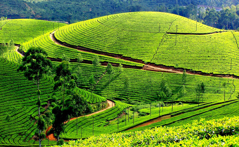 Kerala Solo Trip Package Image