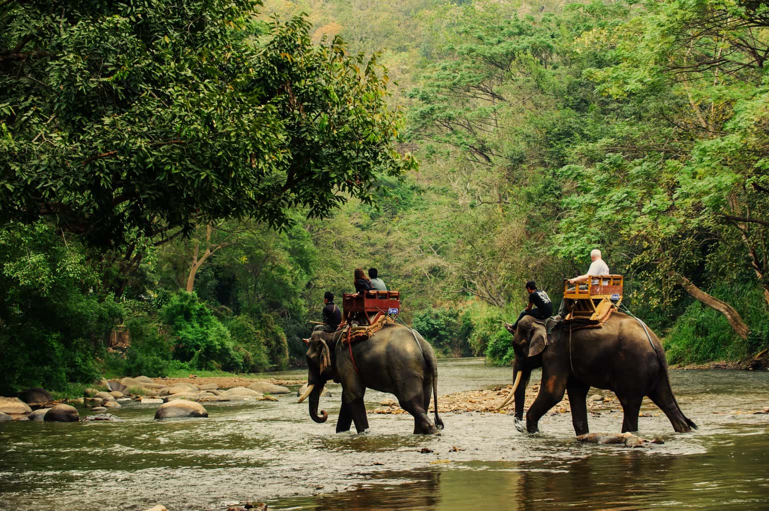 Nepal at a Glance | From Scenic Hills to Wildlife Thrills