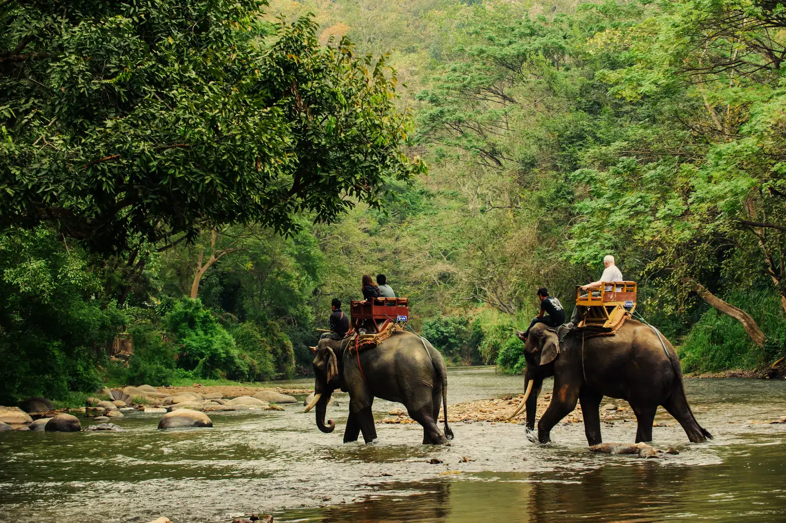 Nepal at a Glance | From Scenic Hills to Wildlife Thrills