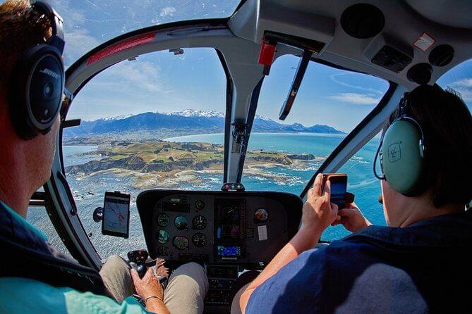 Whale in Kaikoura Whale Watching Tour