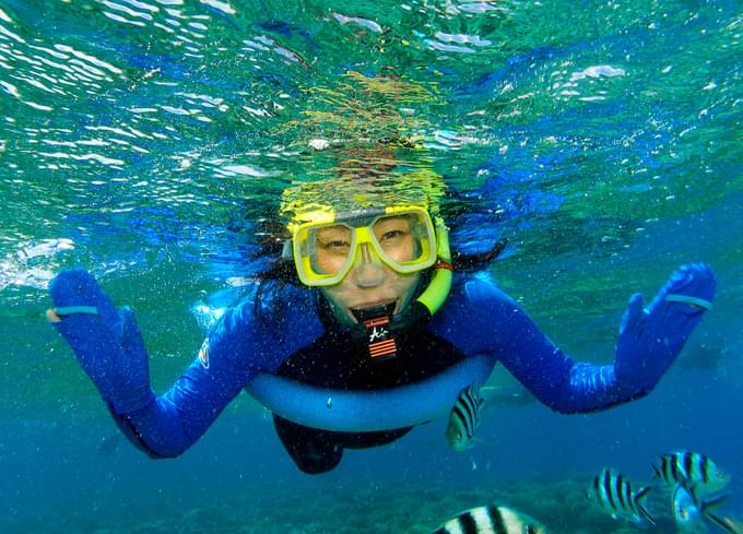 Great Barrier Reef Snorkeling