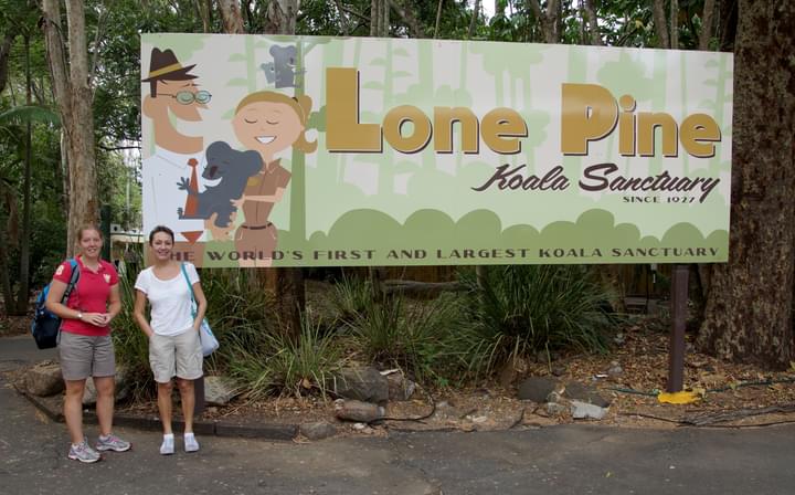 Lone Pine Koala Sanctuary Tickets