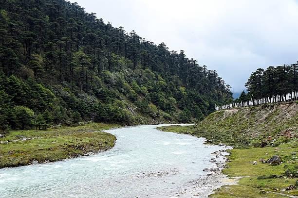 Sit by the Yumthang River
