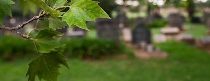 Hamburg-Cemetery.jpg