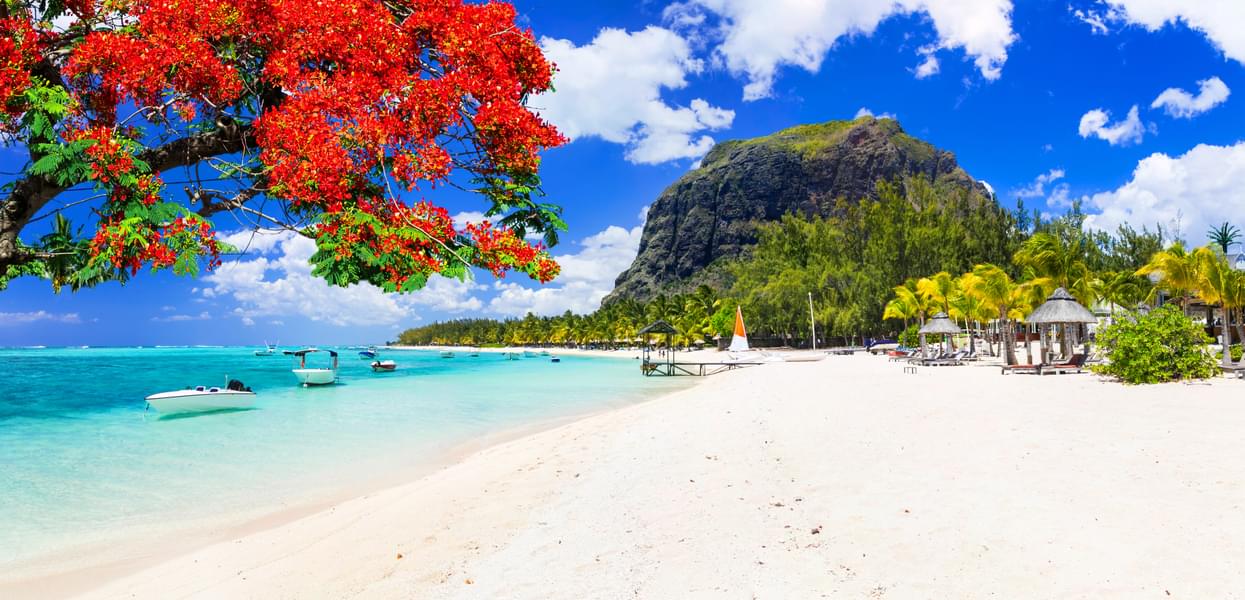 Mauritius Seychelles Tour Package Image