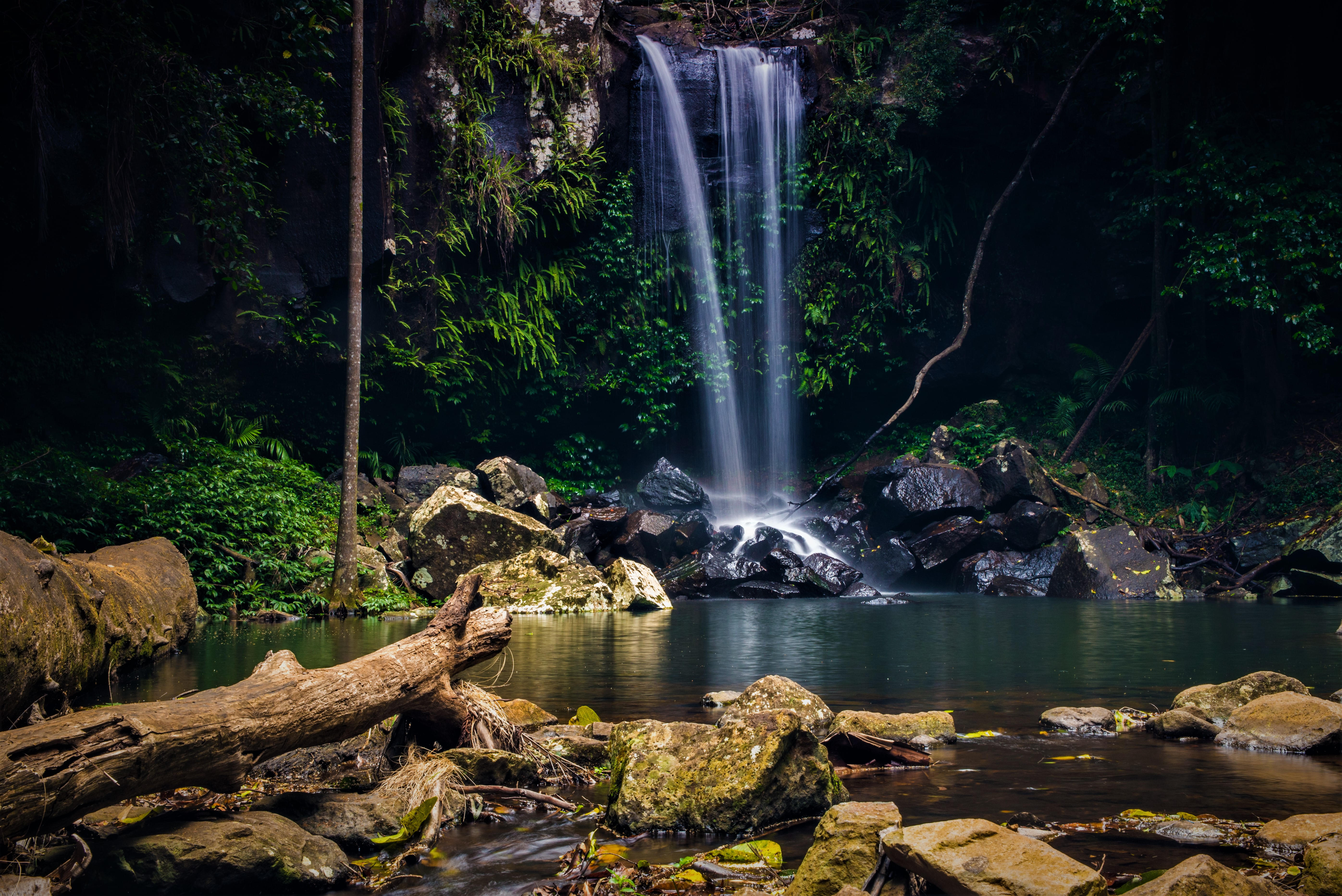 Curtis Waterfall at Tamborine National Park