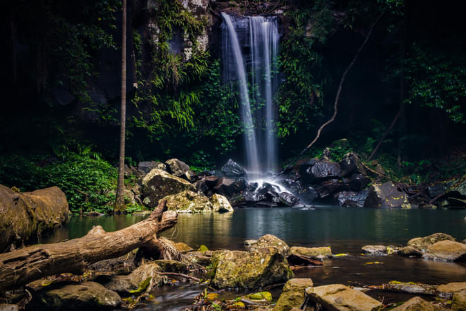 Curtis Waterfall at Tamborine National Park