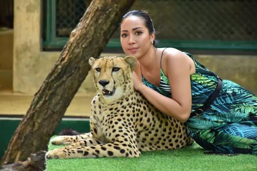 Cheetah Encounter