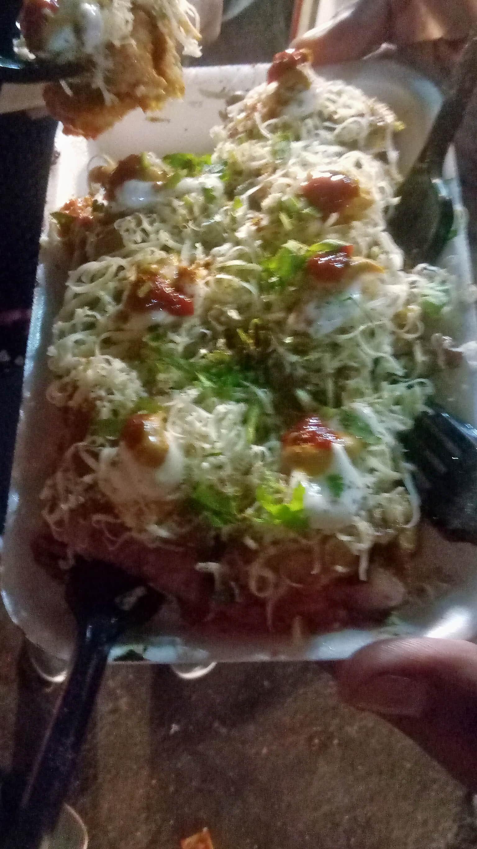 Traveller photo