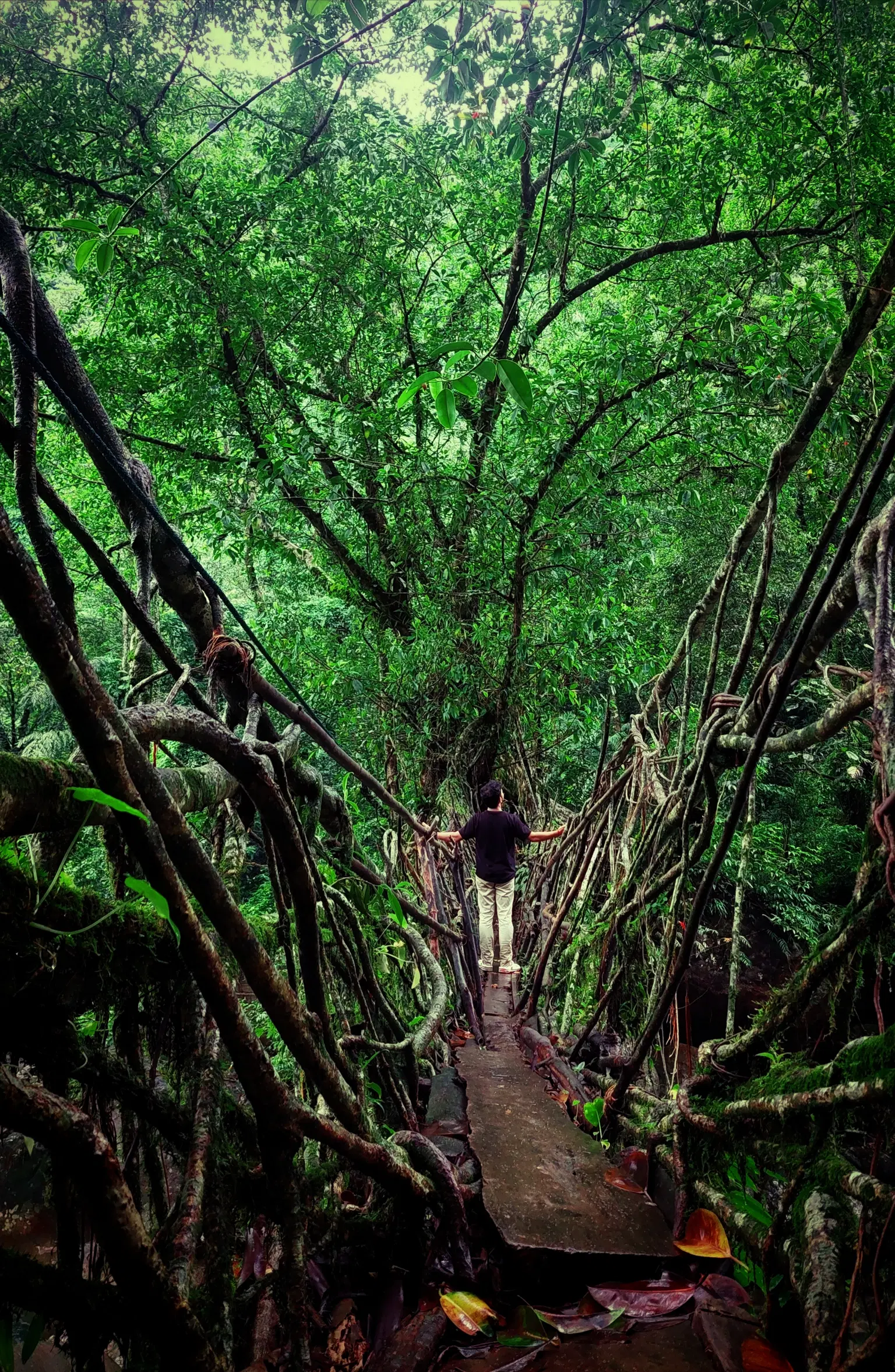 Photo from Nikhil Chaurasia's trip