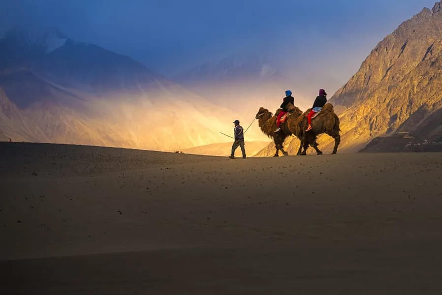 Pass through the ecstatic Nubra Valley as you get a chance to experience a ride on the double-humped Bactrian Camel.
