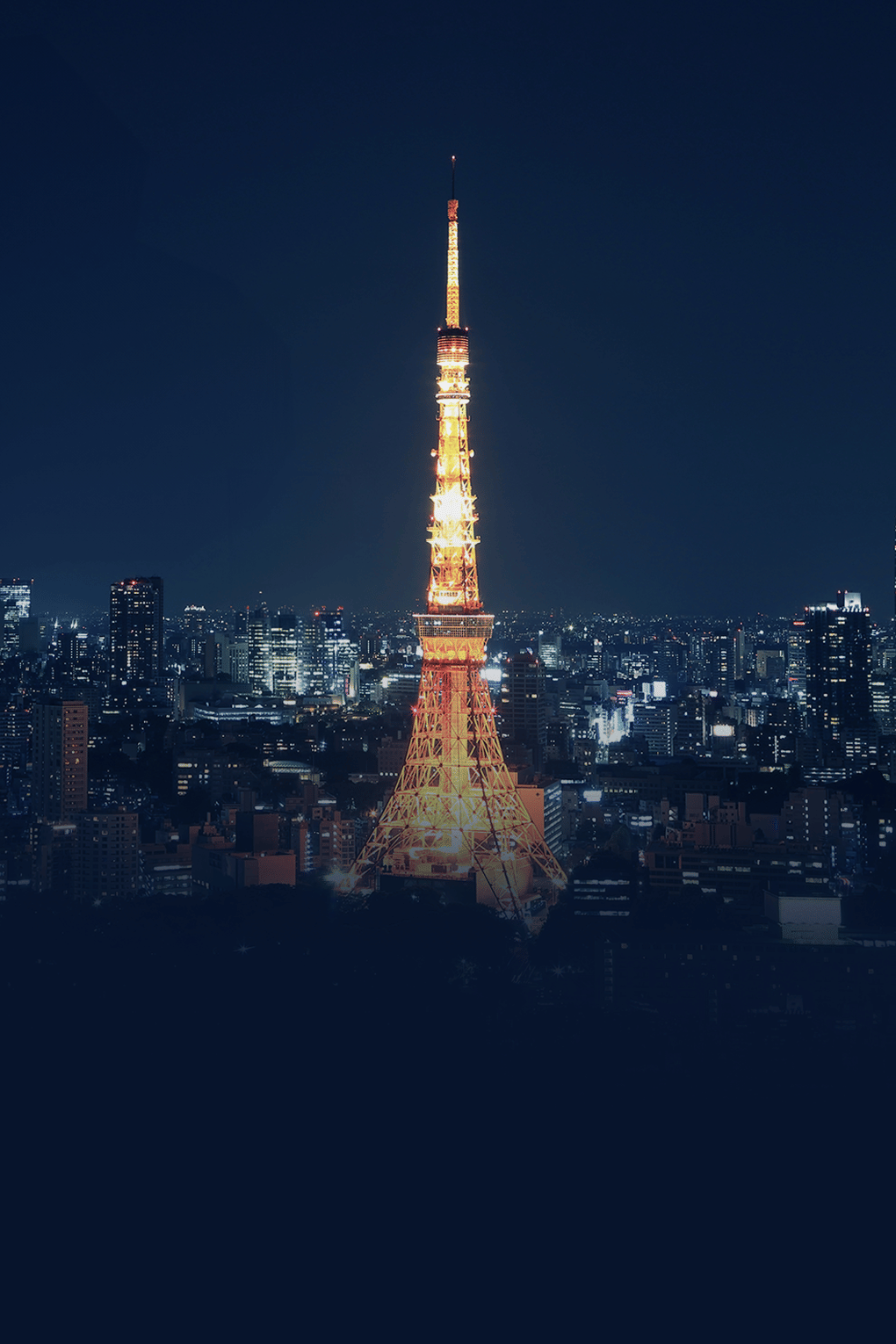 Jewels of Japan | Tokyo to Osaka Discovery