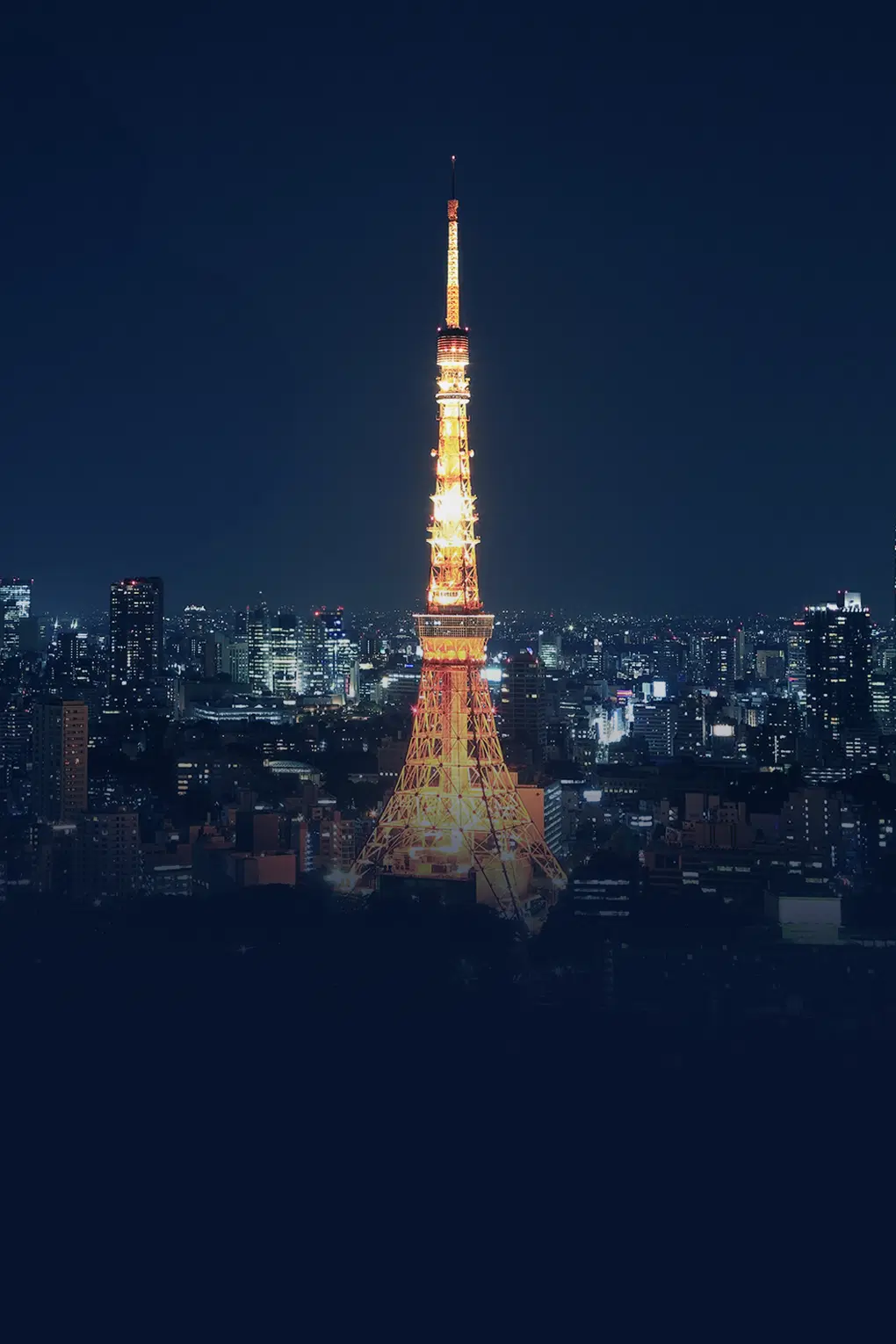 Jewels of Japan | Tokyo to Osaka Discovery