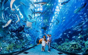Family enjoying Dubai Aquarium & Underwater Zoo