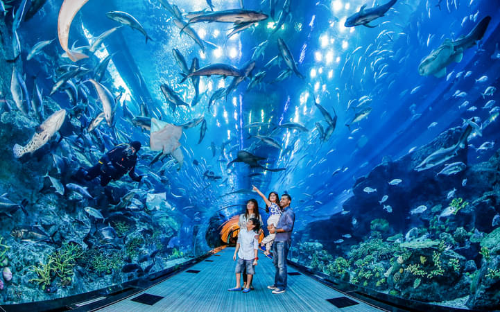 Family enjoying Dubai Aquarium & Underwater Zoo