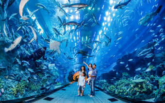 Family enjoying Dubai Aquarium & Underwater Zoo