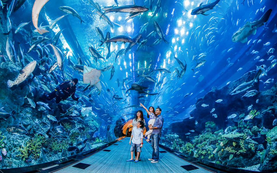 Dubai Family DEAL with FREE AYA Universe Tickets Image